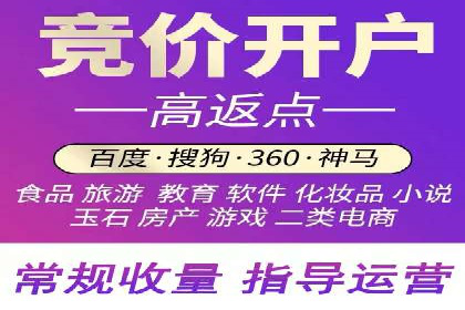 实战技巧：竞价推广案例解析与效果评估
